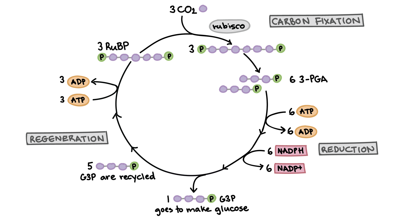 Electrons Answer Key - HelpTeachingcom