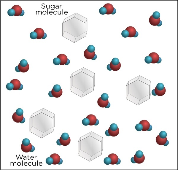 Molekul Kelarutan Gula dalam Air