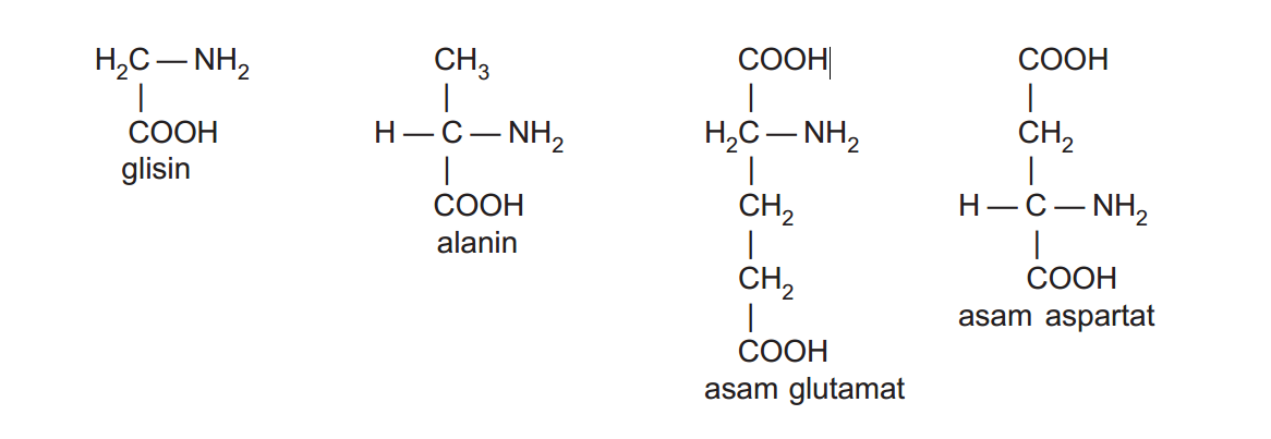 Struktur Asam Amino dan Ion Zwitter - Materi Kimia