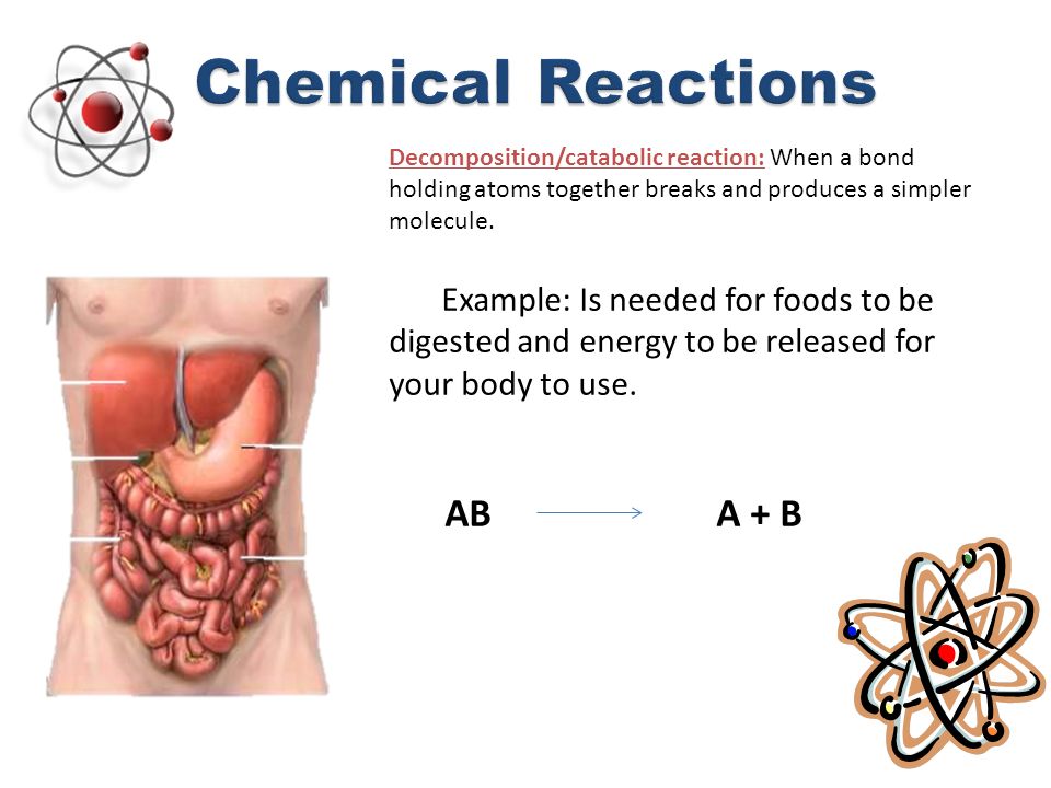 Contoh Persamaan Reaksi Kimia dalam Tubuh Manusia