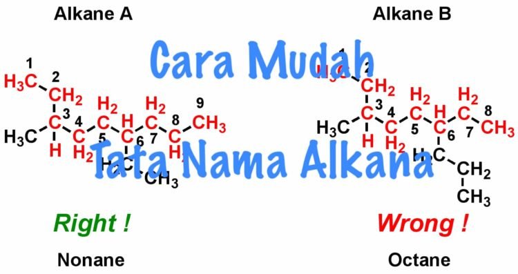 Rumus Struktur Alkana, Alkena, Dan Alkuna - Materi Kimia