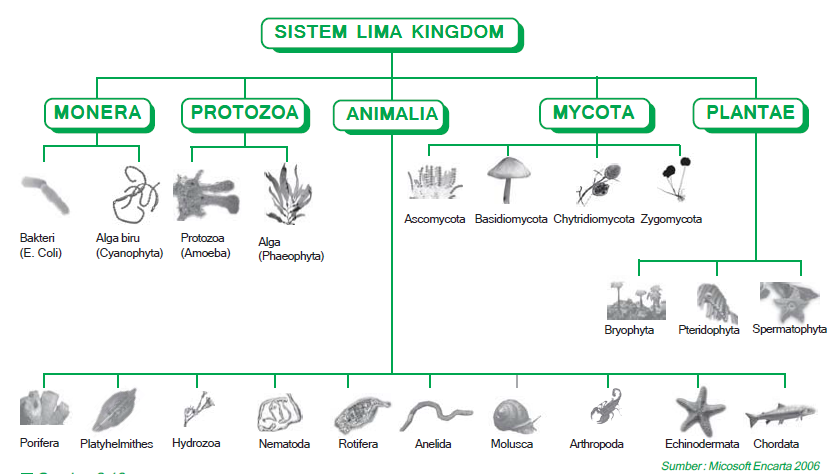 Klasifikasi Makhluk Hidup Sistem Lima Kingdom
