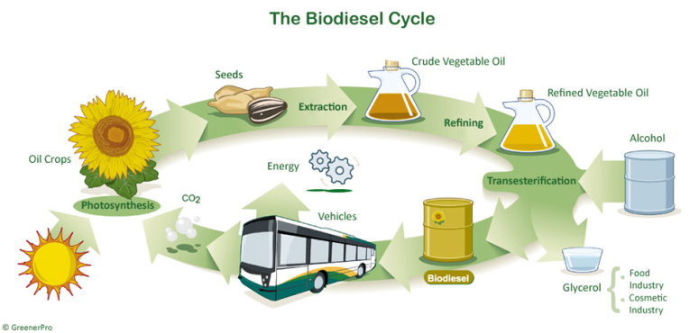 Siklus Pembuatan Biodiesel