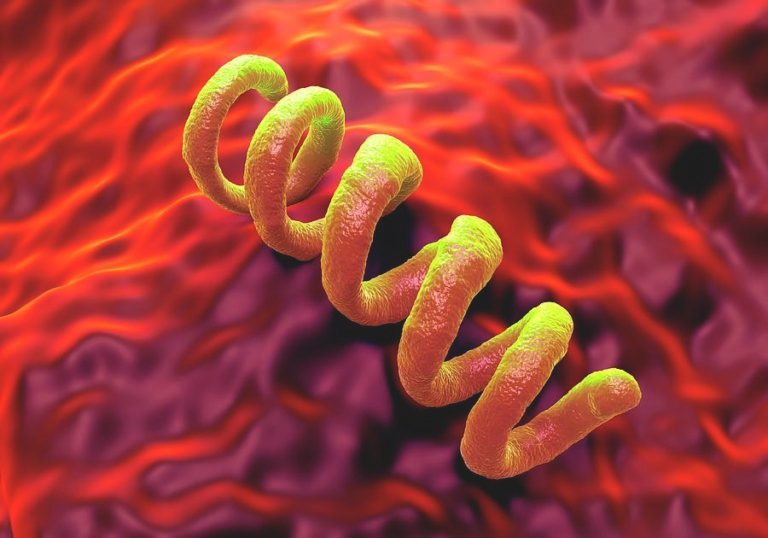 Treponema Pallidum – Materi Kimia