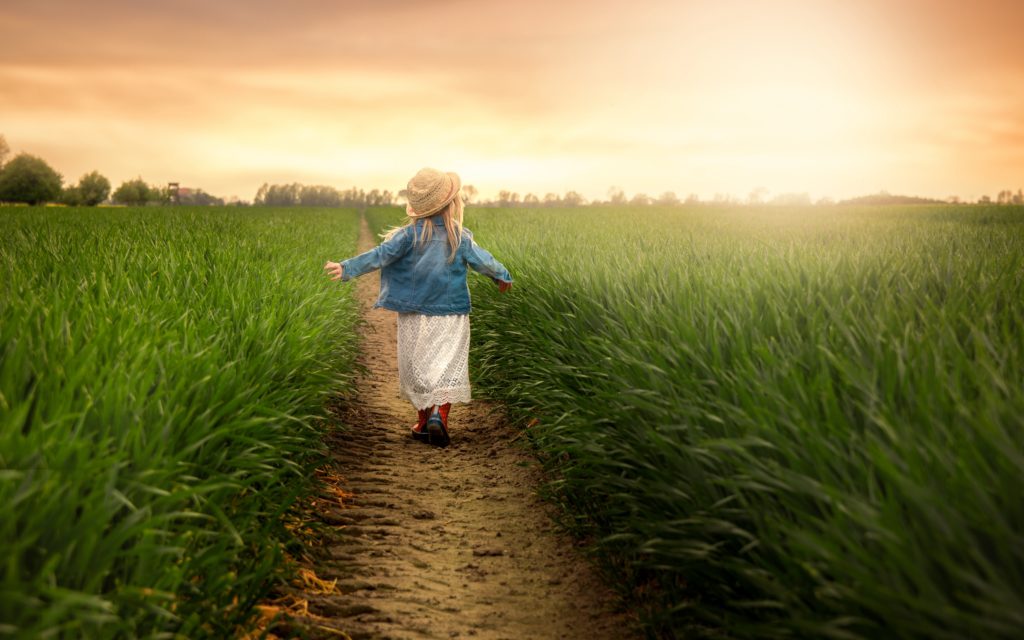 Anak Kecil Berjalan di Ladang