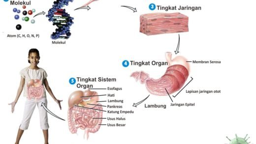 Pengertian Ekosistem dan Contohnya dalam Kehidupan Sehari 