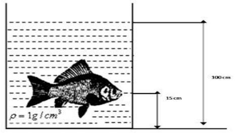 Tekanan Hidrostatis pada Mulut Ikan