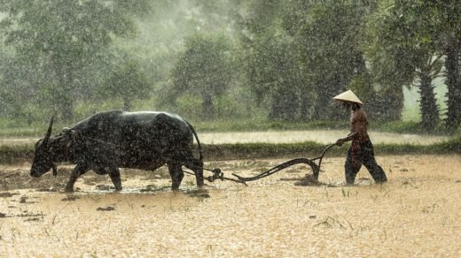 6 Cara Mengurangi Polusi Udara di Perkotaan Materi Kimia