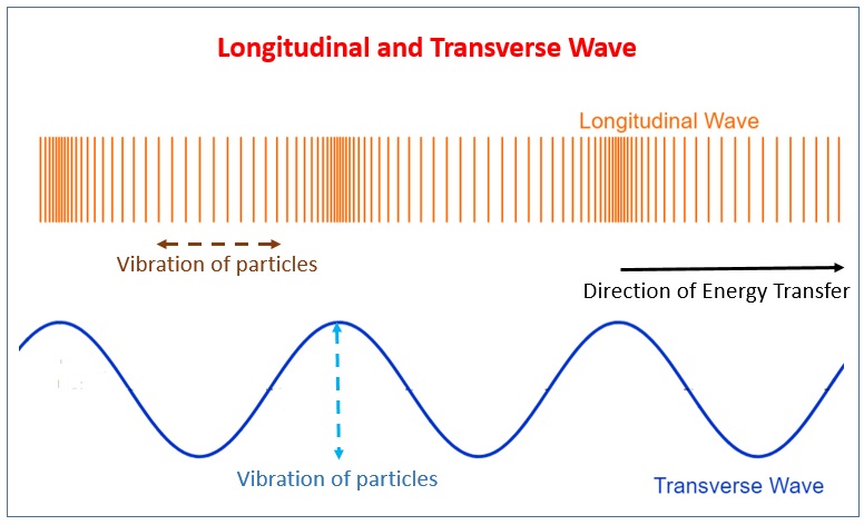 Gambar Gelombang Longitudinal dan Gelombang Transversal