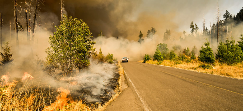 Kabakaran Hutan Menyebabkan Pemanasan Global