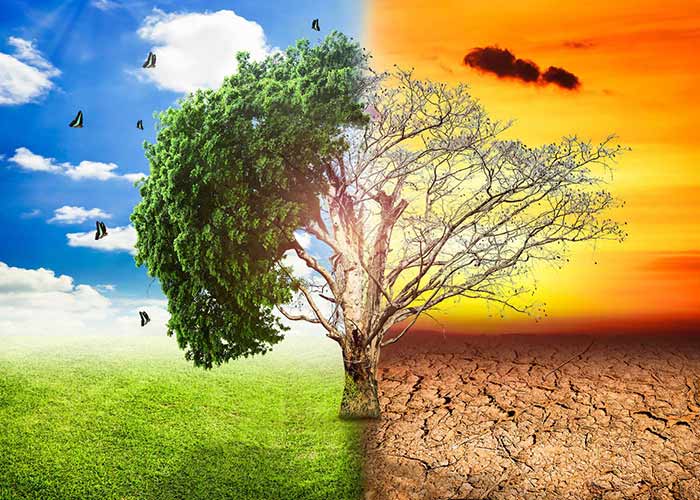 Perubahan Iklim Akibat Pemanasan Global