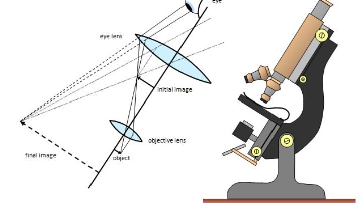 Изображение даваемое микроскопом. Микроскоп физика. Микроскоп физика оптика. Микроскоп для физики. Изображение в микроскопе физика.