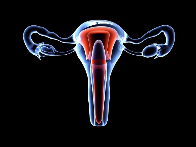 Anatomi dan Fisiologi Sistem Reproduksi Wanita  Materi Kimia