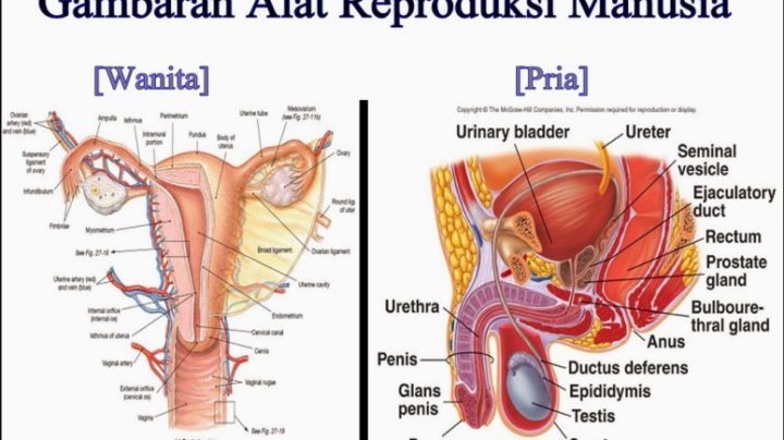 6 Jenis Satuan Konsentrasi Beserta Rumusnya Materi Kimia 5338