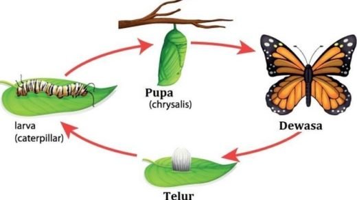 10 Contoh Soal Teori Atom dan Pembahasannya - MateriKimia