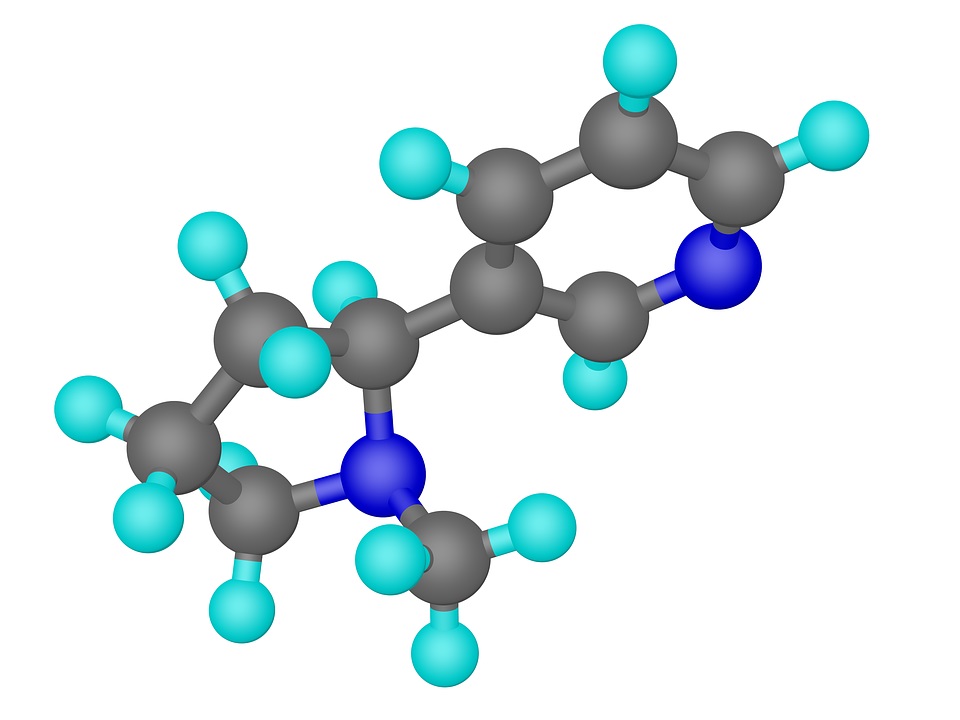 Geometri Molekul Nikotin