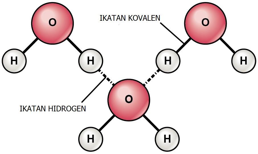 5 Contoh Ikatan Hidrogen Materi Kimia