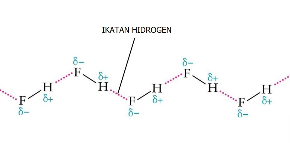 Ikatan Hidrogen pada Molekul HF