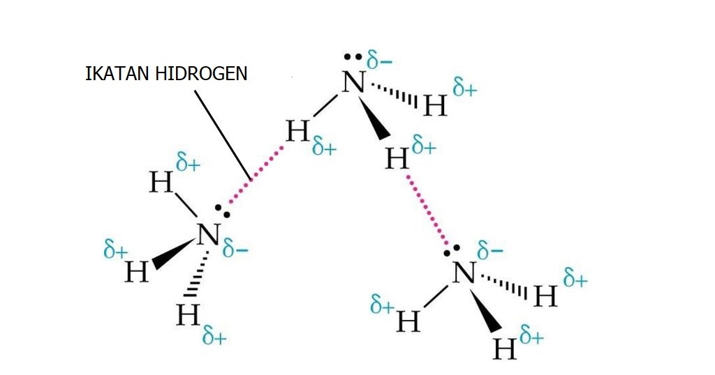 Ikatan Hidrogen pada Molekul NH3