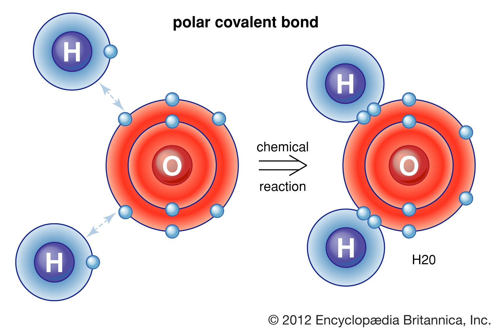 covalent-bonds-learning-lab