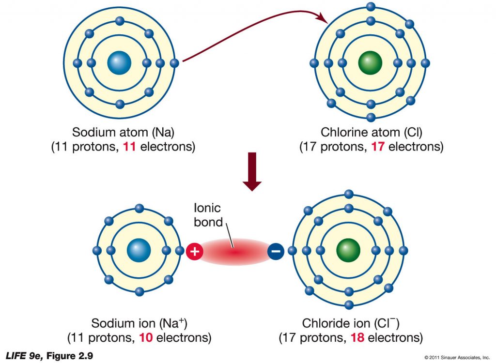 Proses Pembentukan Ikatan Ion
