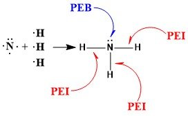 PEI dan PEB NH3