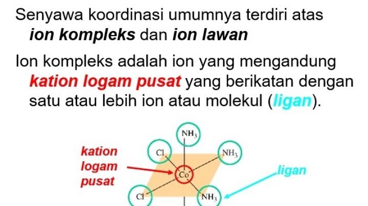 Sifat Kemagnetan Ion Kompleks - Materi Kimia