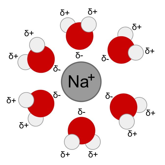 Contoh Ion Dipol pada Ion Na+ dengan Molekul Air