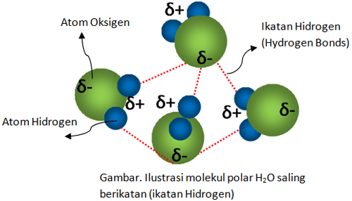 Interaksi Antar Partikel (Ikatan Hidrogen)