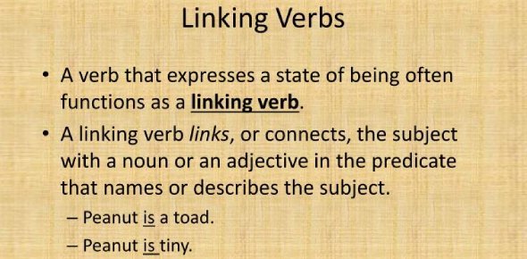 Linking Verb