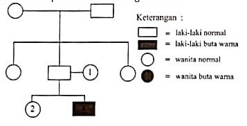 Peta Persilangan Silsilah Keluarga