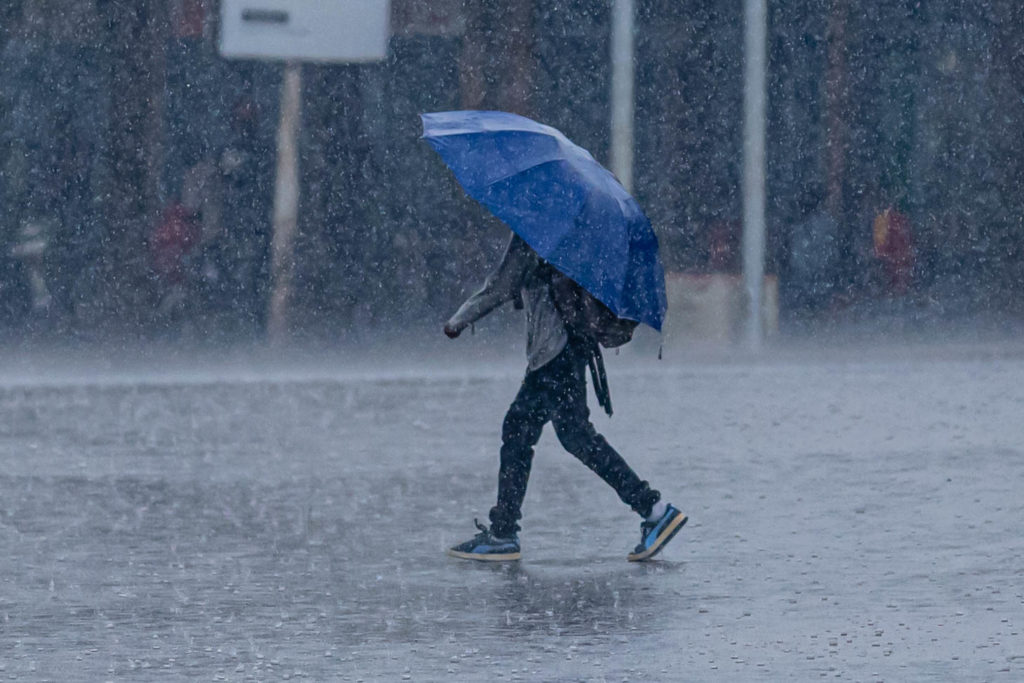 Seseorang yang Sedang Menggunakan Payung Dikala Hujan