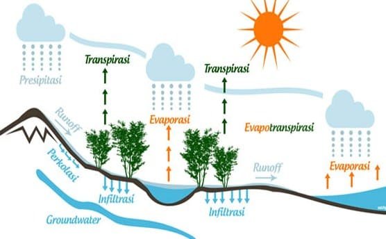 Rentetan Kejadian dalam Siklus Hidrologi