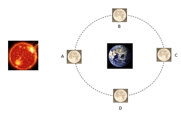 Fase-Fase Bulan