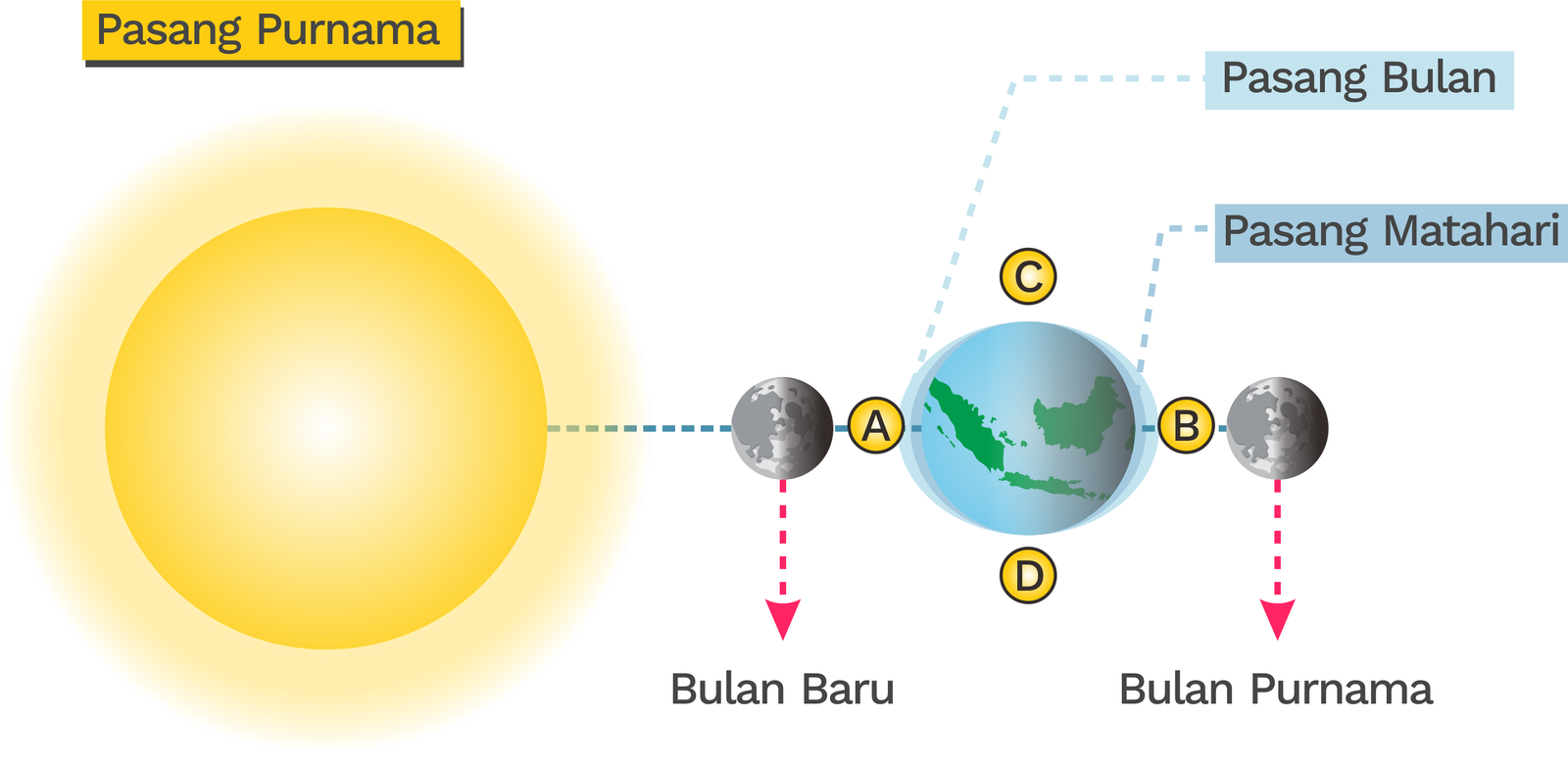 Pasang Surut Bumi