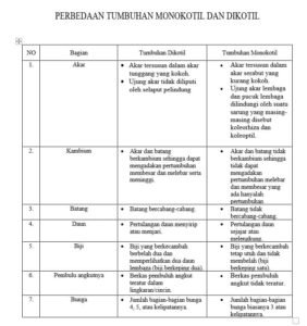 Tabel Perbedaan Tumbuhan Dikotil Dan Monokotil | MateriKimia