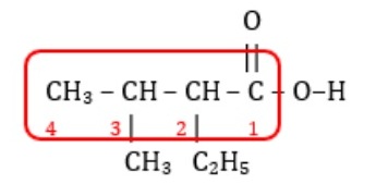 Asam-2-etil-3-metilbutanoat