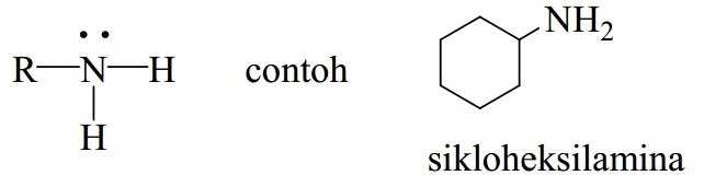 Contoh Amina Primer