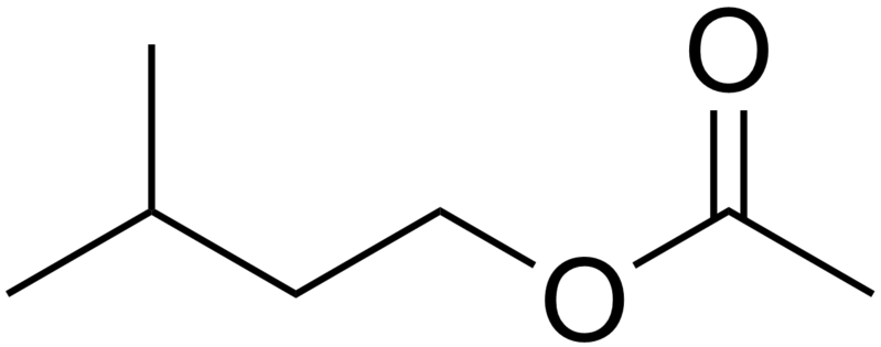 Isoamil asetat
