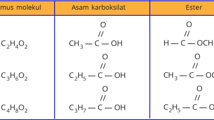 Tata Nama Asam Alkanoat Dan Alkil Alkanoat - Materi Kimia