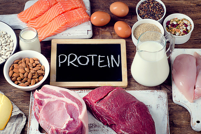 Makanan-Makanan yang Mengandung Banyak Protein