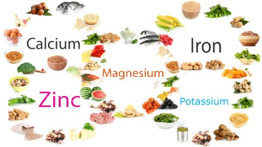 Mineral yang Terkandung dalam Makanan