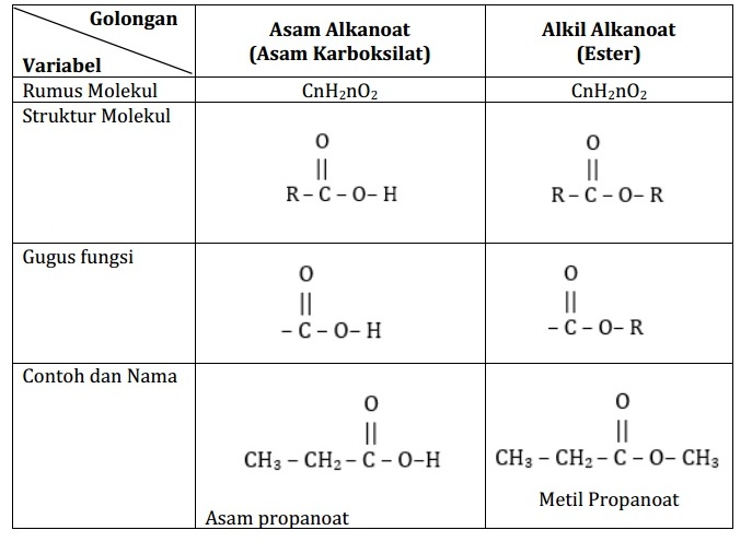 Tabel Perbedaan Struktur Molekul Asam Alkanoat dan Alkil Alkanoat
