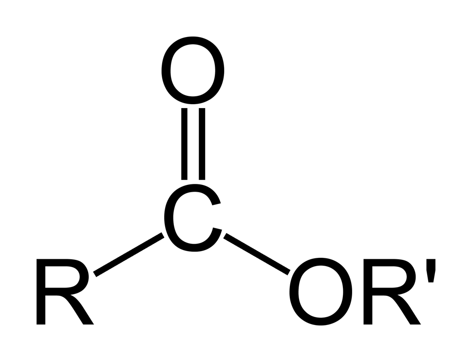 Rumus Struktur Ester