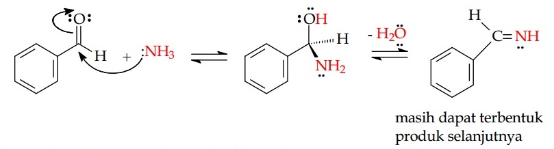 Senyawa amina bereaksi dengan aldehid menghasilkan imina N-tersubstitusi