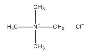 Tetrametil Amonium Klorida