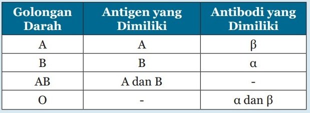 Karakteristik Golongan Darah