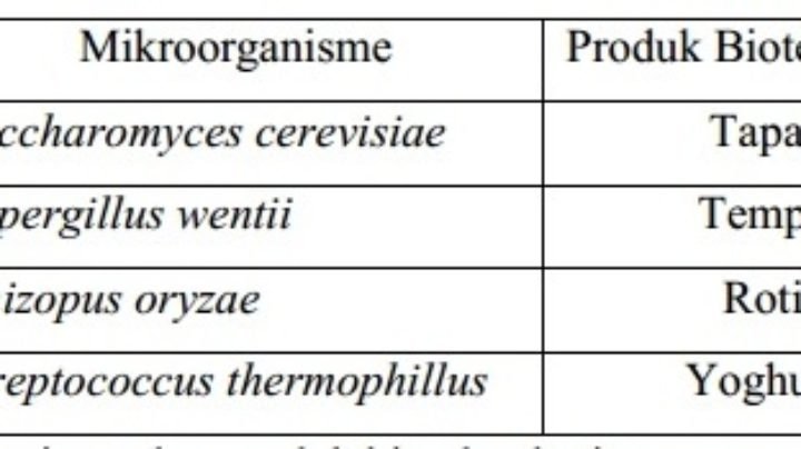 30 Soal Pilihan Ganda Bioteknologi Kelas 9 Dan Jawabannya - Materi Kimia