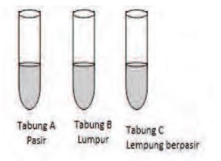 Ada tiga tabung reaksi yang masing-masing diisi oleh jenis tanah yang berbeda
