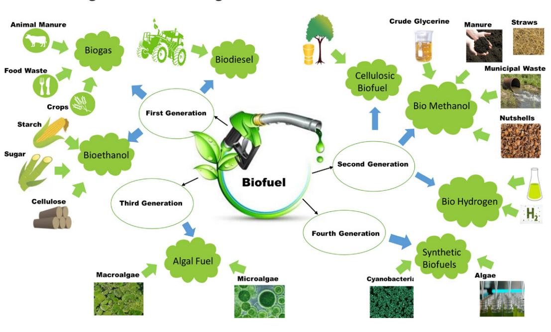 Tipe-Tipe Biofuel